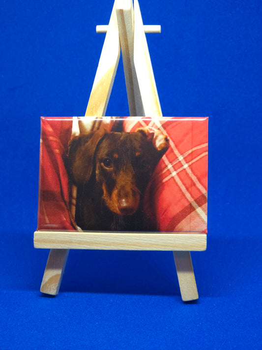 Small wooden easel holding a picture of a dog on a red blanket against a blue background