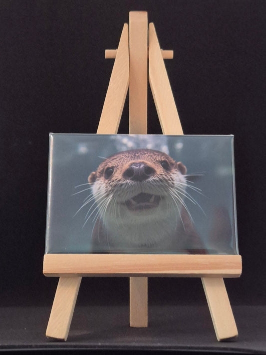 Glass panel with an otters face on a wooden stand against a black background