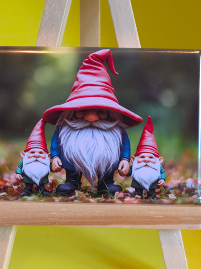 Gnomes in their natural habitat Barbara