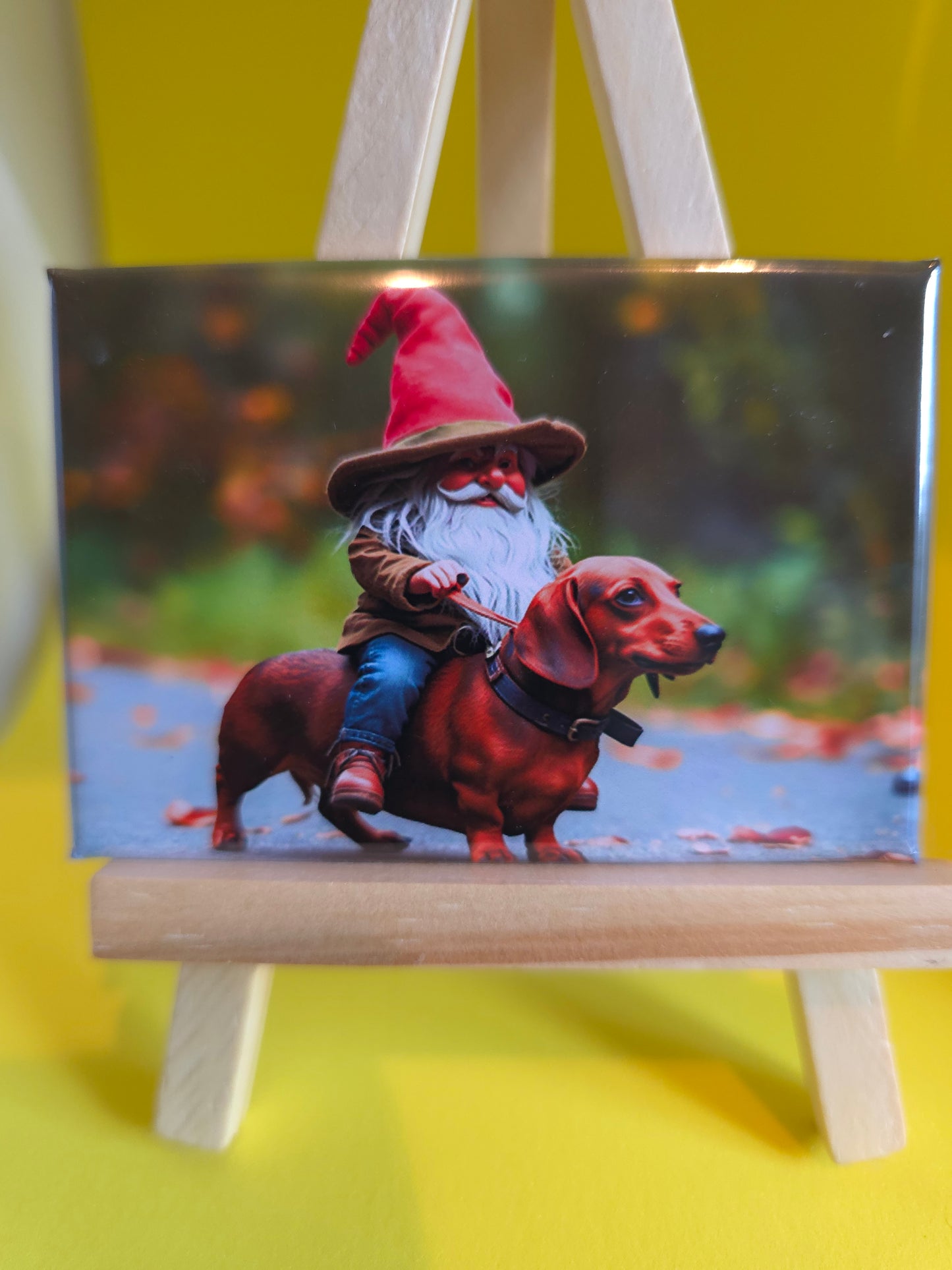 Gnomes in their natural habitat Daisy and her dog, Raptor