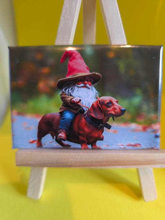 Gnomes in their natural habitat Daisy and her dog, Raptor