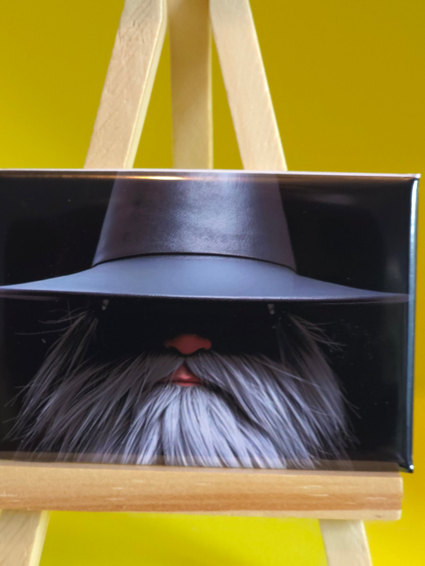 Gnomes in their natural habitat Big George