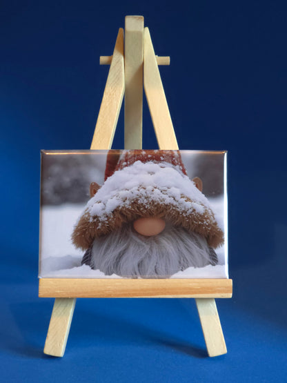 Gnomes in their natural habitat Beatrice