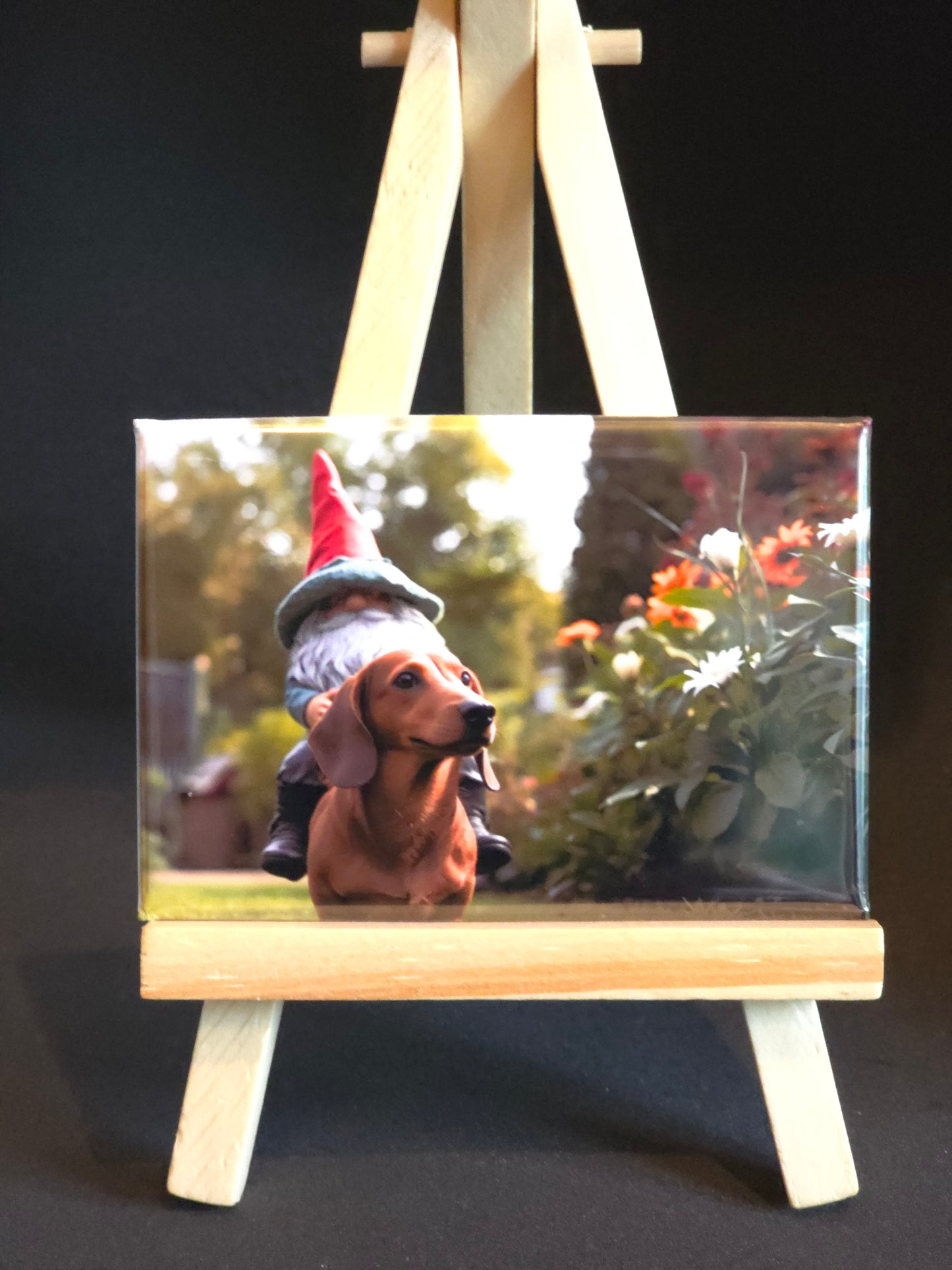 Gnomes in their natural habitat Lonnie and his dog Titan