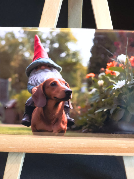 Gnomes in their natural habitat Lonnie and his dog Titan