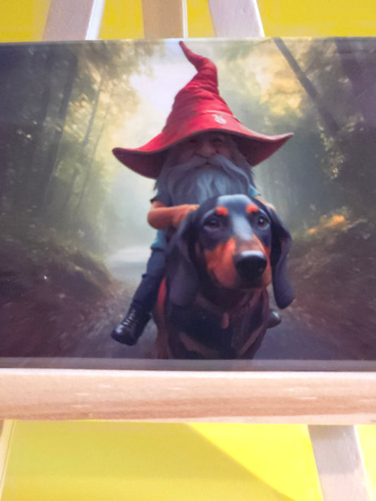 Gnomes in their natural habitat Gary and his dog, Cerberus