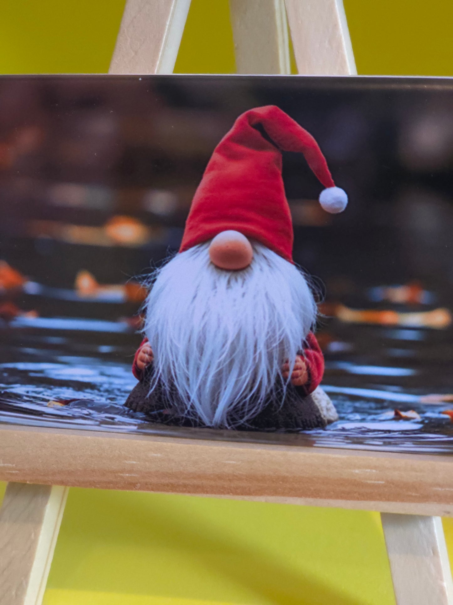 Gnomes in their natural habitat Bartholomew