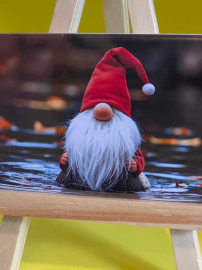 Gnomes in their natural habitat Bartholomew