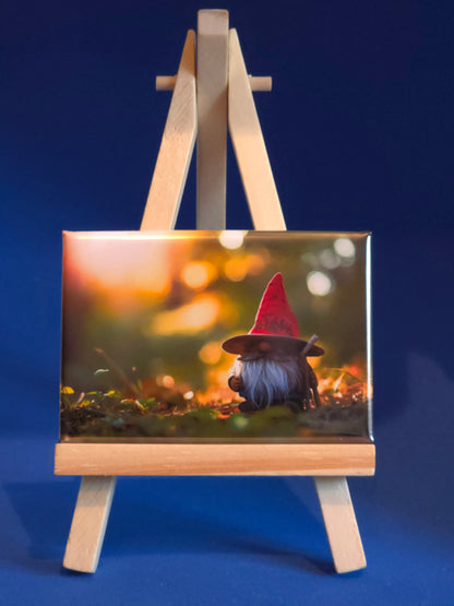 Gnomes in their natural habitat Patrick