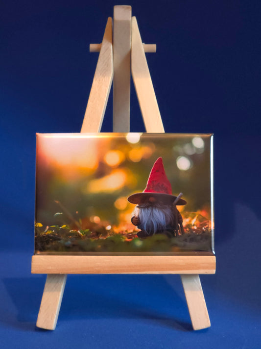 Gnomes in their natural habitat Patrick