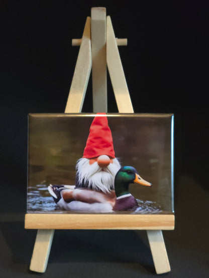 Gnomes in their natural habitat Pietr