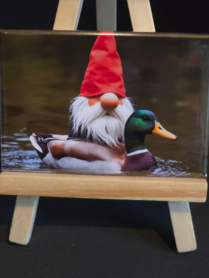 Gnomes in their natural habitat Pietr