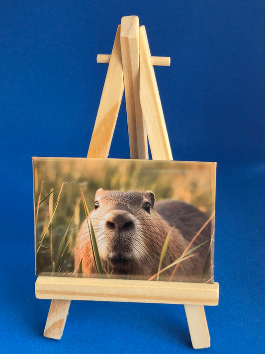 Happy Capybara